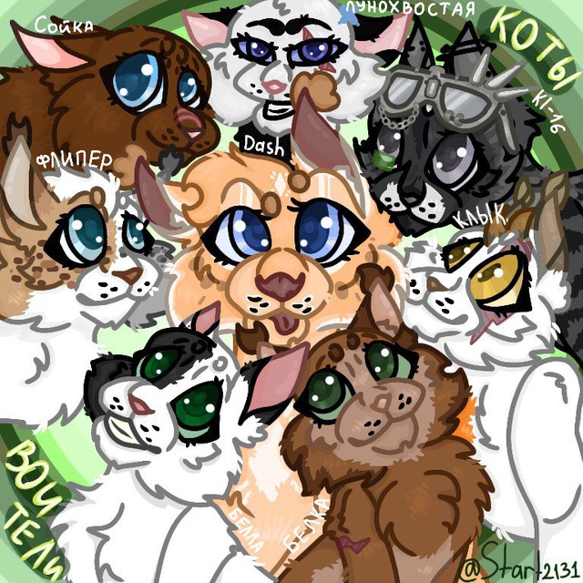 ?коты воители? Warrior cats?