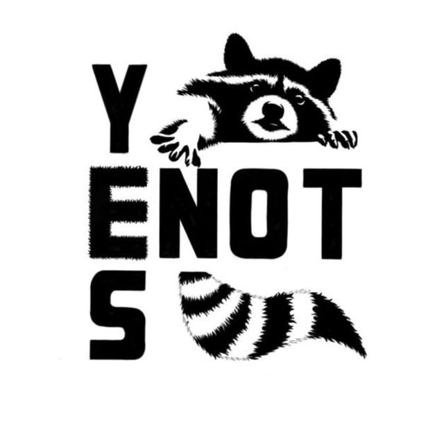 Лофт YEsNOT