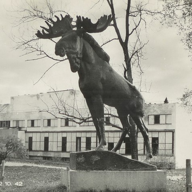 Русская Финляндия