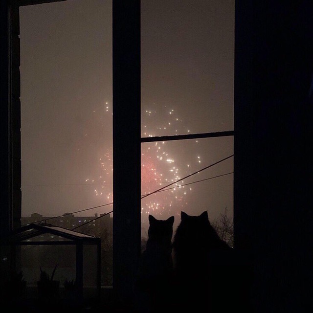welcomehome.