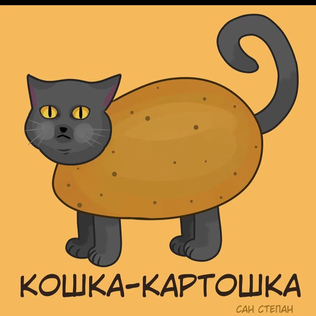 кошка - картошка