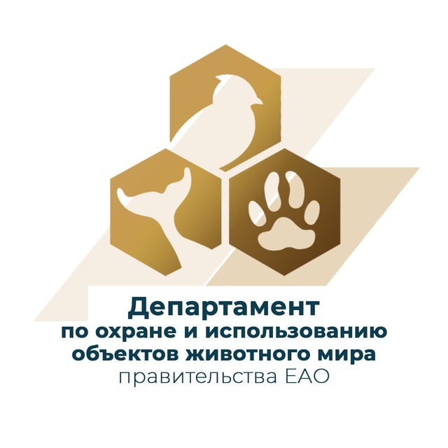 Департамент по охране и использованию объектов животного мира