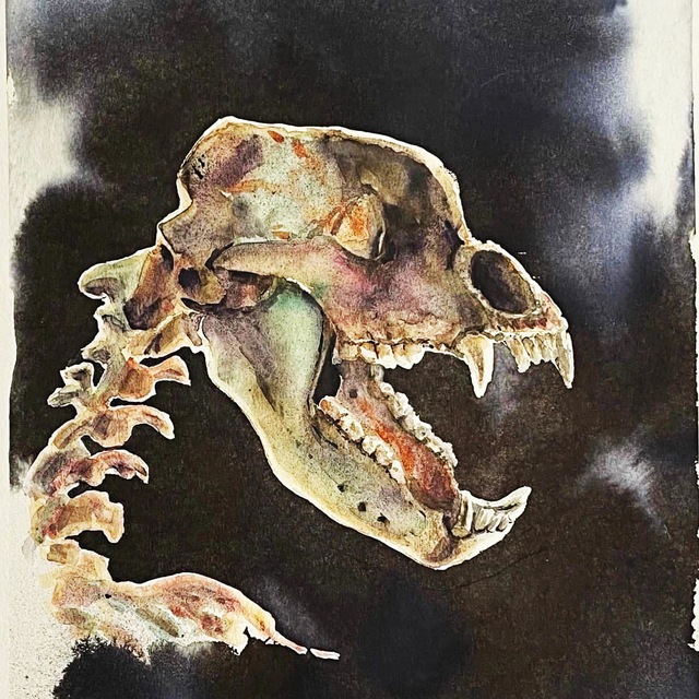 Cave Bear Ural (Уральский пещерный медведь)