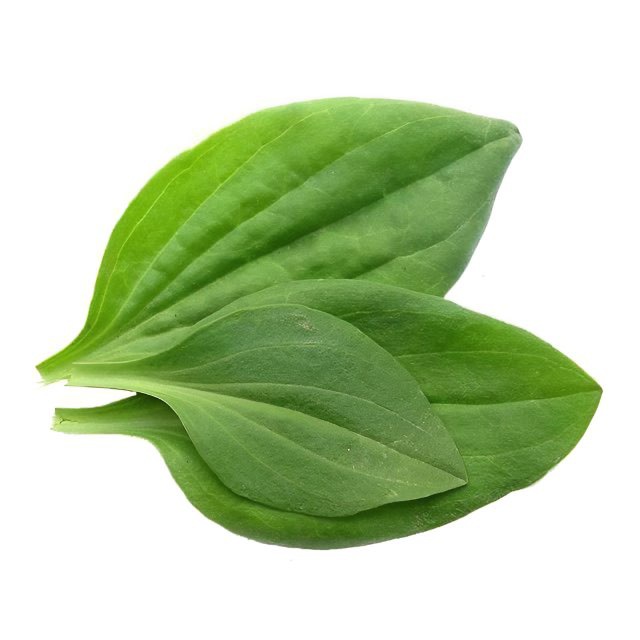 Telegram-канал "лидер мнений среди удобрений" — @lider — TGStat