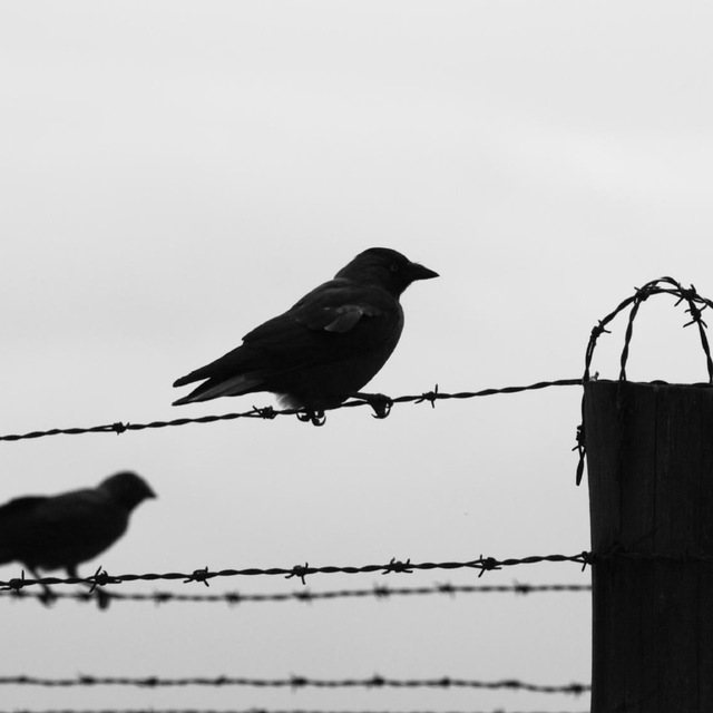 Посттравматический синдром