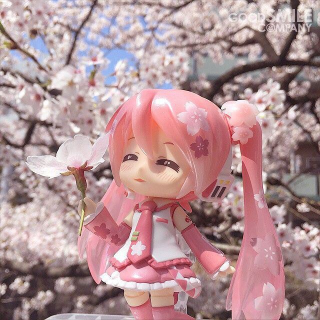 ｡･:*?флаги лгбтк+! ｡･: