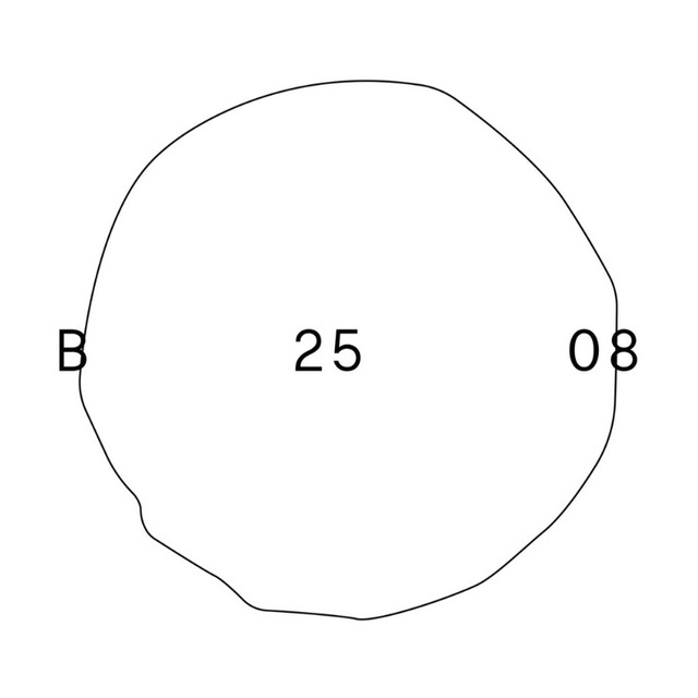 B25.08