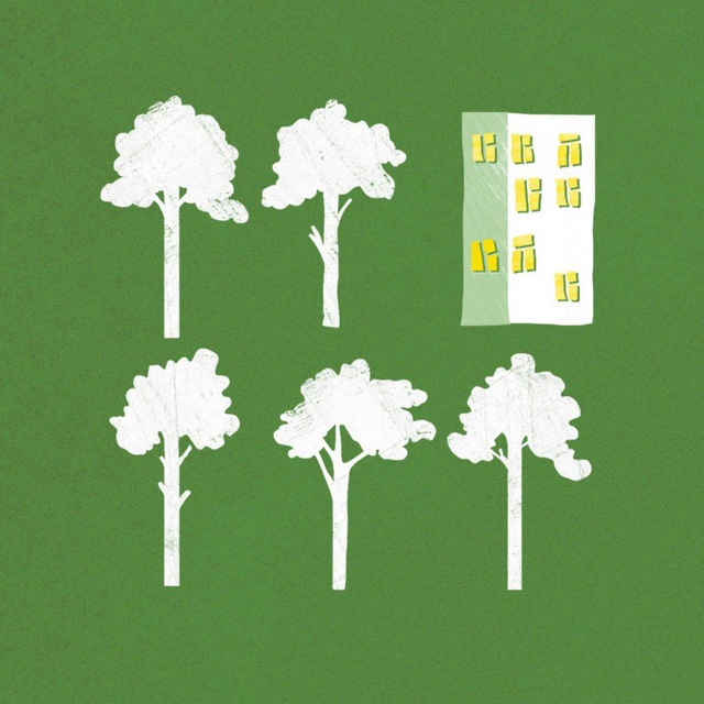 5 сосен. Проспект Вернадского