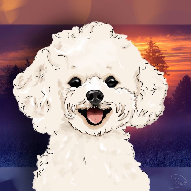 Kokos.dog✨?