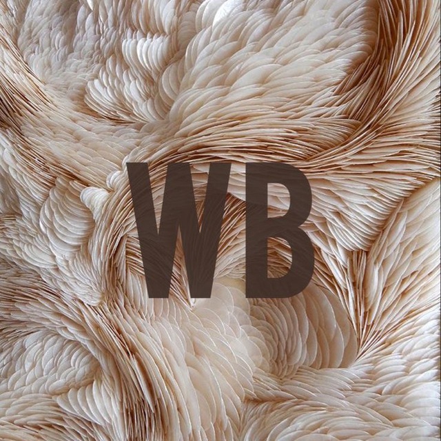 Находки AliExpress | Wb | Wildberries