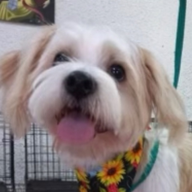 Америка.Новости. Война в Украине .