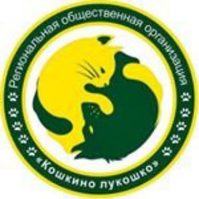 Приют Кошкино Лукошко??
