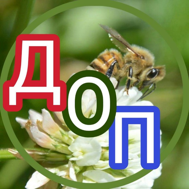 Доска Объявлений Пчеловодства: пчелопродукция, инвентарь пчелооборудование. РФ ??