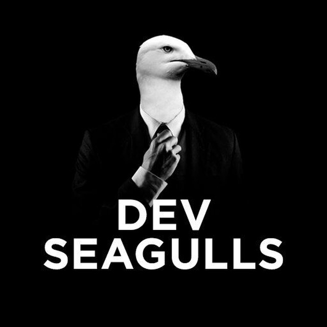 Dev Seagulls Chat