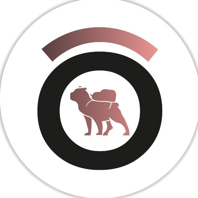 Клуб путешественников Анастасии Король