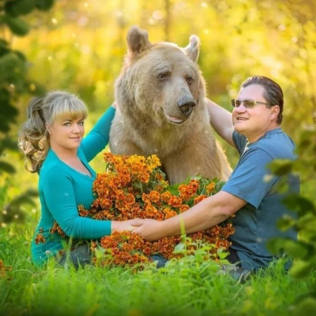 Stepan?Savva?TheBear