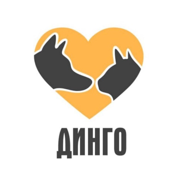 Фонд Динго