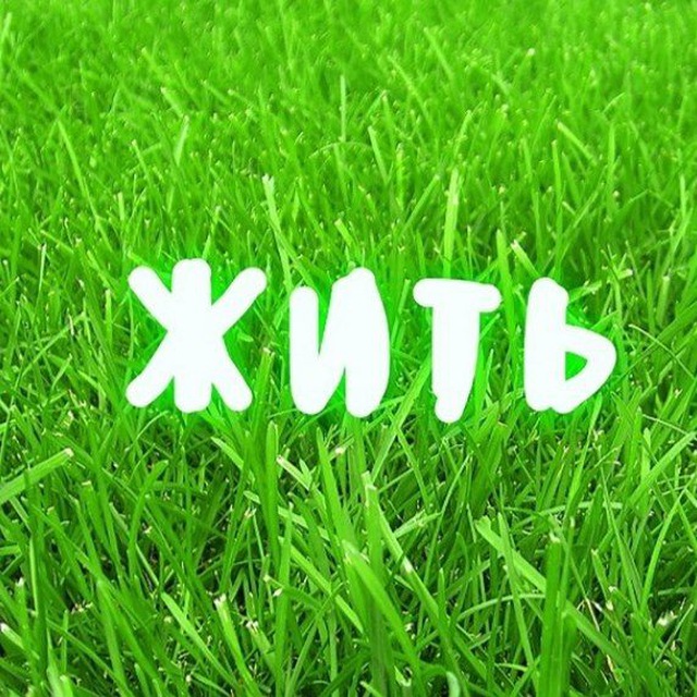 dobro_vika
