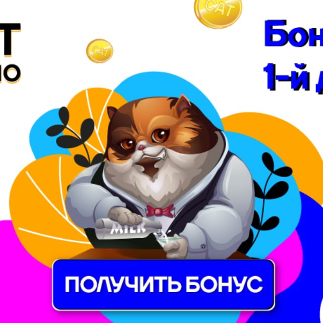 Cat Casino ? Cat Casino ? ?