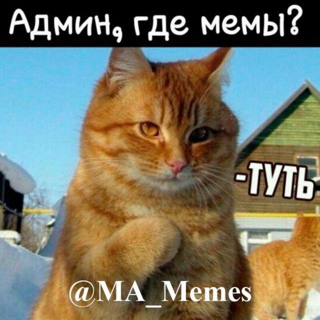 Мемный Канал ?? | MA