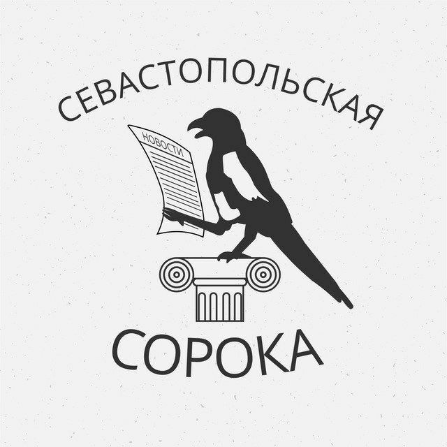 Севастопольская сорока ?‍⬛️