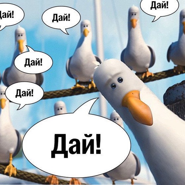 Кальянная чайка ?База розыгрышей