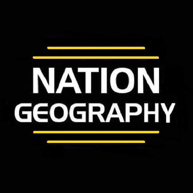 Nation geography. National geographic channel. national geographic logo. нашион географик ято обозначает. national geographic tm logo.