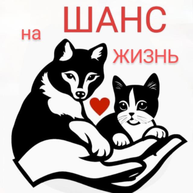 ЦЕНТР ПОМОЩИ БЕЗДОМНЫМ ЖИВОТНЫМ "ШАНС НА ЖИЗНЬ" АЛЕКСАНДРОВСК-САХАЛИНСКИЙ?❤️?
