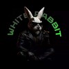 WHITE RABBIT