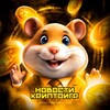 Hamster combat комбо 29 мая