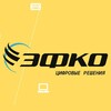 ЭФКО Цифровые решения