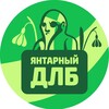 ЯНТАРНЫЙ ДЛБ (Новости Калининграда)