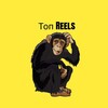 Toп Reels