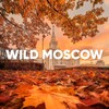 WILD RUSSIANS | МОСКВА