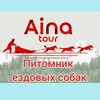 Айна Тур 🐾 Собачьи упряжки Сахалин🐕