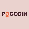 Pogodin Аcademy