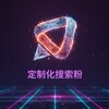 定制化搜索粉